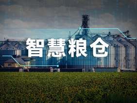 實(shí)時監(jiān)測+智能預(yù)警！松柏傳感氣體傳感器助力綠色儲糧